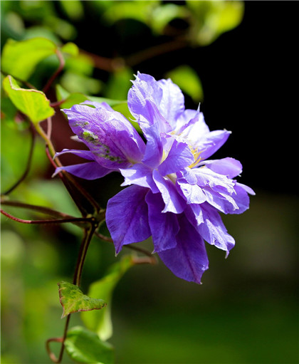 风水摆件水晶球的摆放禁忌