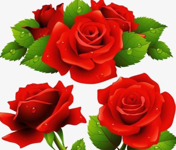 能嫁得好丈夫，获得幸福婚姻的生肖