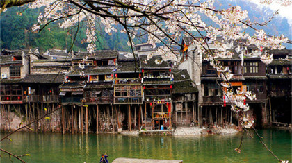 “降妖木”桃木辟邪的传说