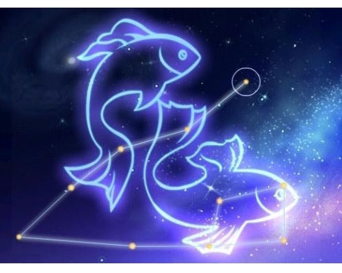 2022属狗双鱼座运势分析