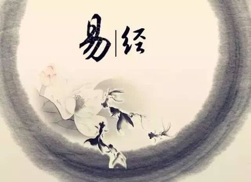΢΢޵ƶϲ