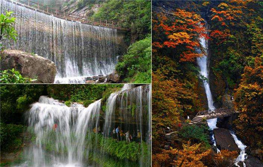 2022年壬寅年十二生肖运势吉运分析【男命篇】