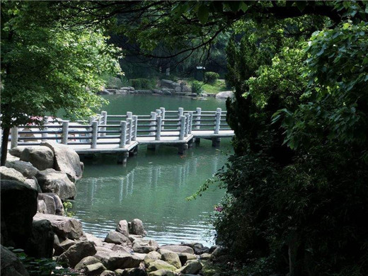 2022年生肖属牛的人运势详解