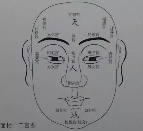 ʮ»ͼ⣬ͻῴˣ
