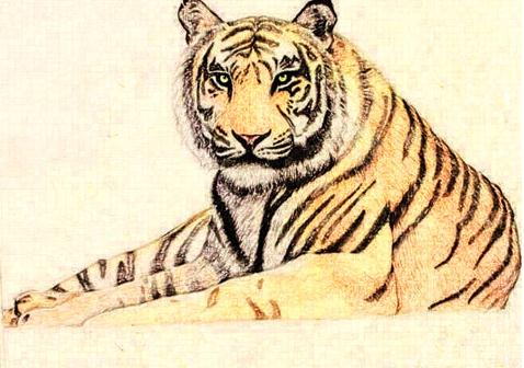 2022年对什么生肖不利？2022年生肖运势预测