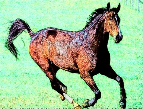 2022年运势最好的属相,虎年对哪个生肖比较好