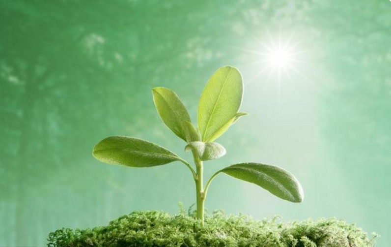 十二生肖每日运势解读 2021年10月15日