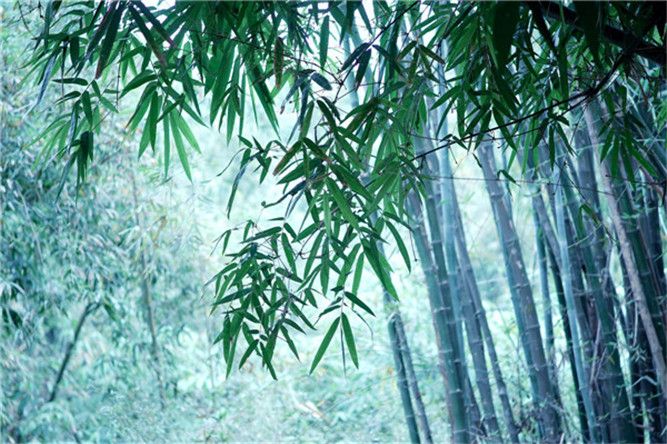 黑曜石佩戴禁忌，男人佩戴黑曜石要注意什么？