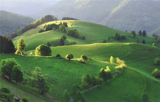 平安扣能辟邪驱鬼吗?平安扣作用是什么? 平安扣能辟邪驱鬼吗?平安扣作用是什么?