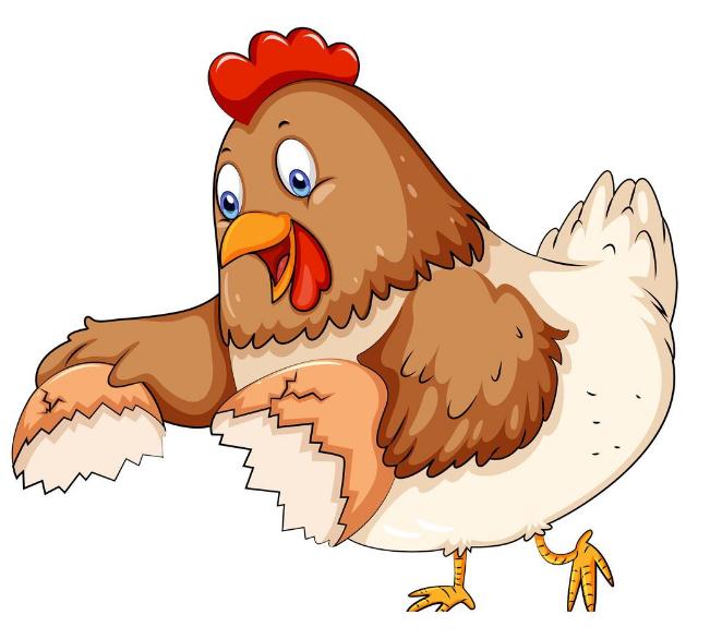 2022年生肖属鸡的人流年运势分析