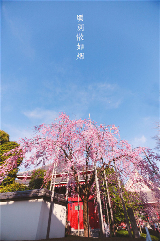 黑曜石怎么佩戴？黑曜石可以佩戴两串吗？