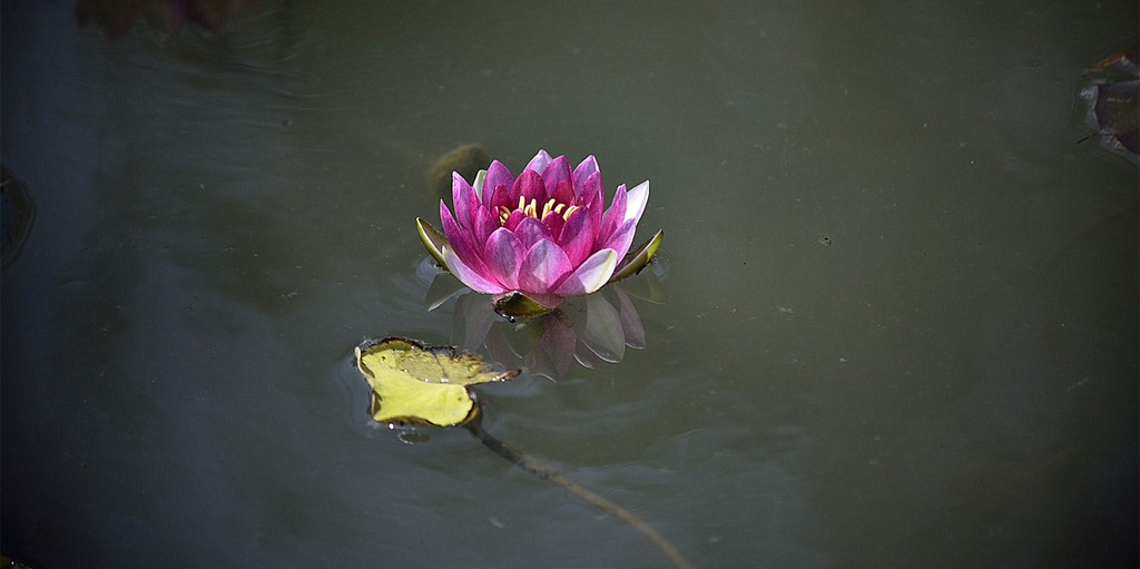 五帝钱是什么? 有什么风水作用吗？