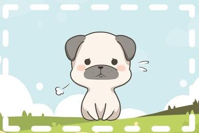 生肖狗2022年生肖运势完整版 工作升职加薪