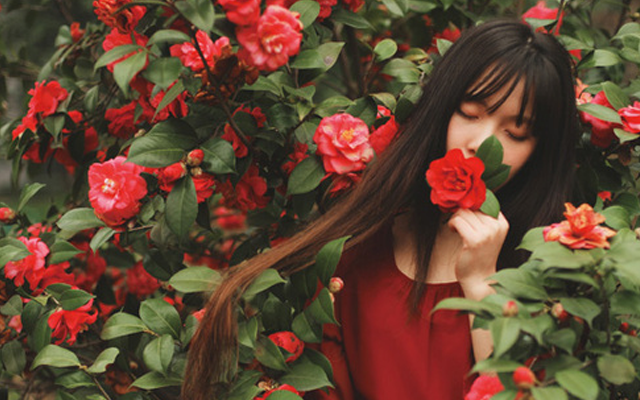 水晶知识：草莓晶和粉晶哪个好？