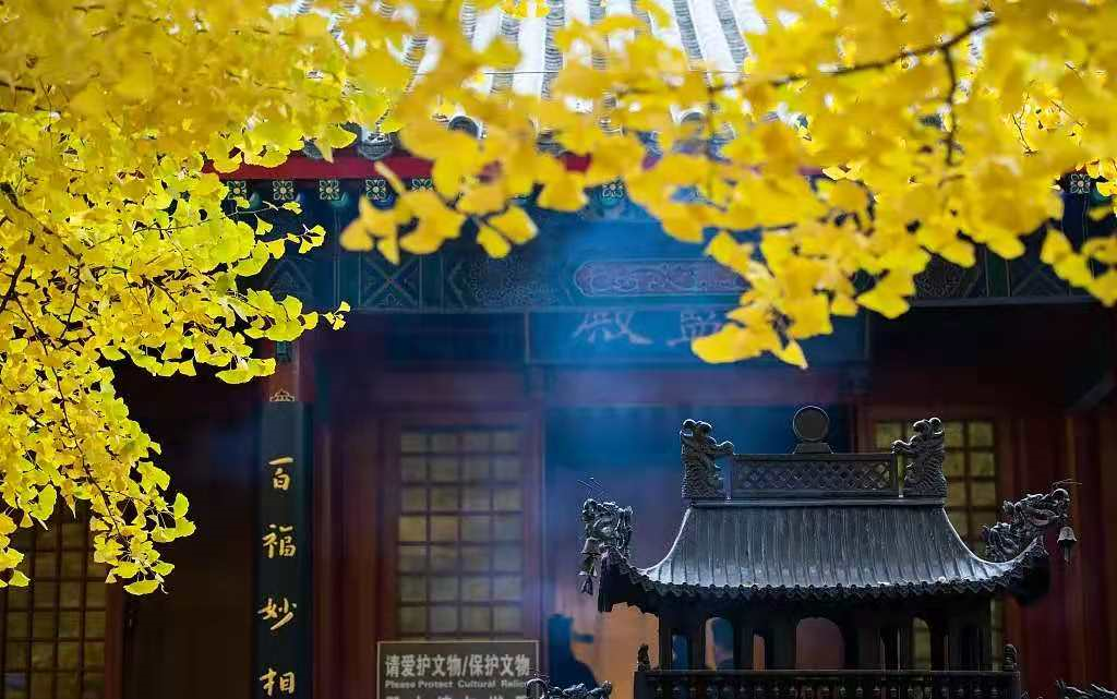 宝石与五行：黄虎眼石五行属什么？