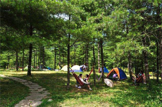 鸡翅木是红木吗？鸡翅木的保护方法