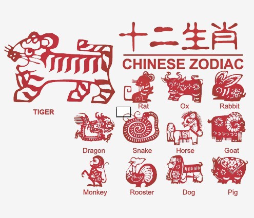 每日特吉生肖播报大全 2021年12月3日