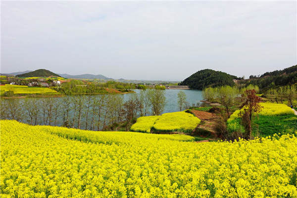 平安扣有什么寓意？平安扣的寓意是什么？