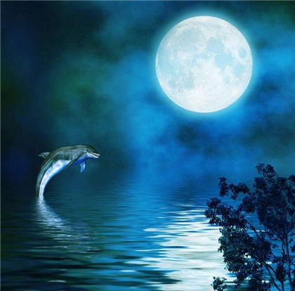 常见风水物件寿山石