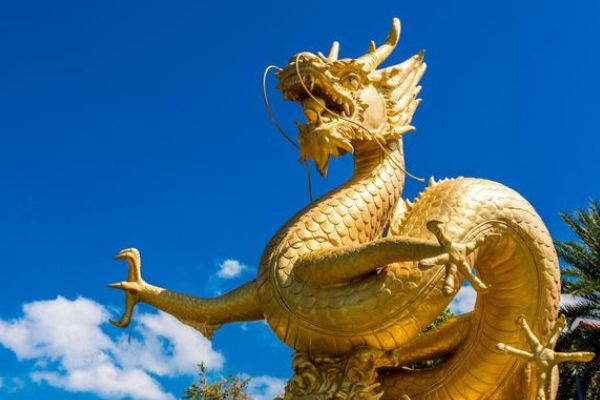 属龙的人2022年运势及运程 贵人提携事业有成