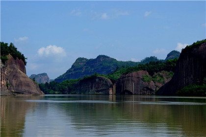 鸭掌木的风水学作用有哪些？