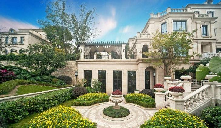 风水之中四大鬼树是哪些？为什么说九里香是鬼树？