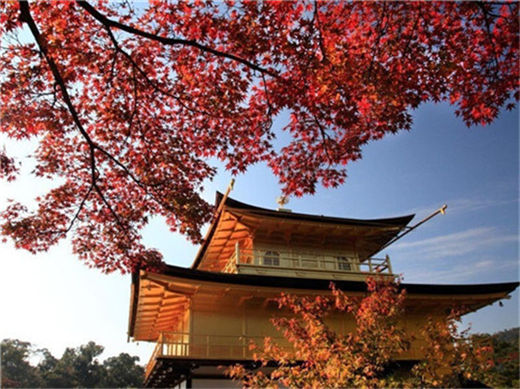 怎样选择适合的 入户地垫图案？选择什么图案最吉祥？