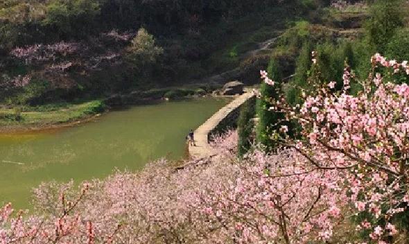 家居布局易招引烂桃花的风水
