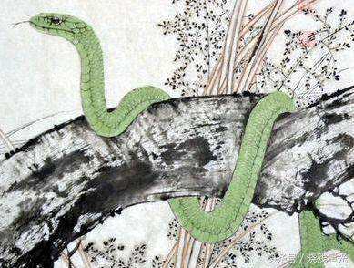 属蛇人2022年全年运势及运程 事业懒散感情低迷