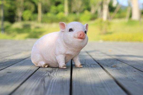 属猪人2022年3月份运势及运程 本月烦恼少了