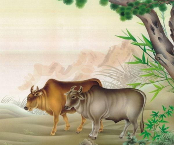 2022年属牛男全年运势如何 红鸾星动男女婚成