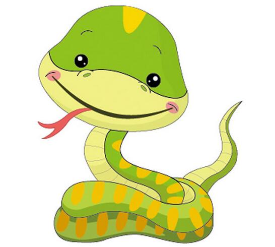 生肖蛇2022年学业运分析 整体运势如何