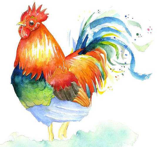 2022年生肖鸡学业运解析 幸运色是什么