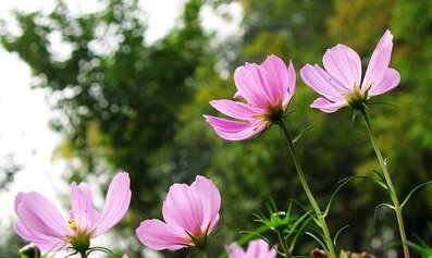 【什么是开光】吉祥物为何要开光？