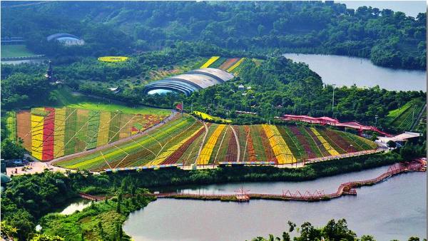 适用于办公室的风水吉祥物