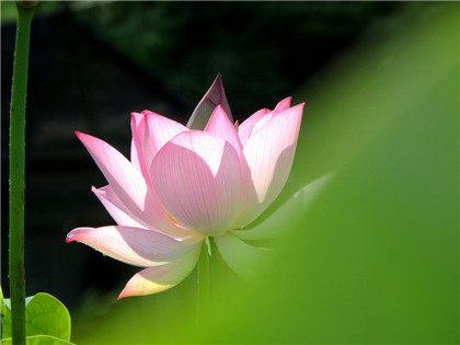 Ŷݼϵ-