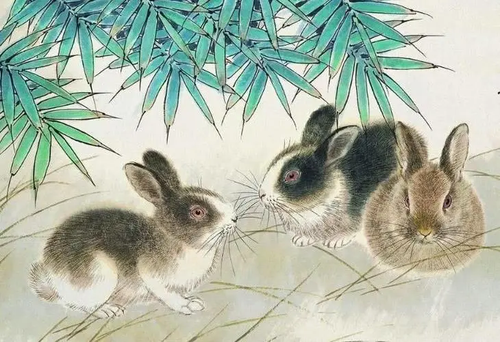 87年2023年属兔人的全年运势 生意红火财运旺盛