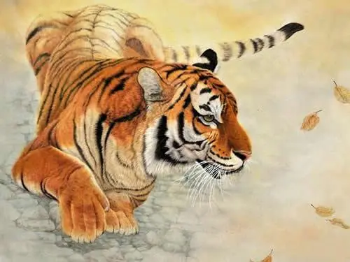 属虎1986年2022年运势及运程怎么样