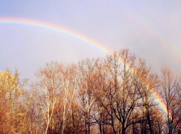 招财旺财的家居风水摆件之：金钱鼠