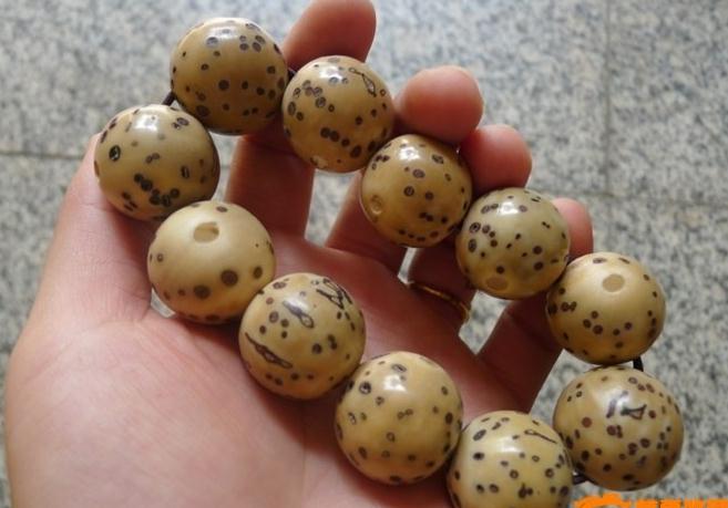 千眼菩提的作用是什么？