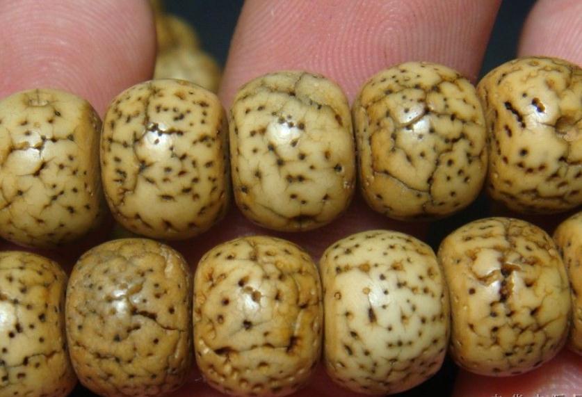 星月菩提子怎么保养？