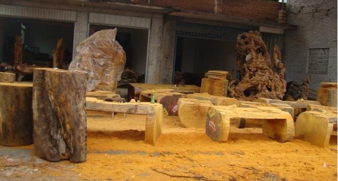 枣木的作用是什么？