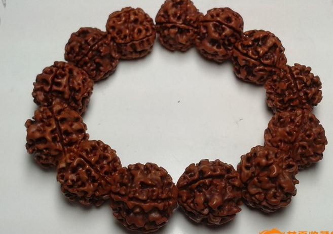 金刚菩提子的寓意是什么?