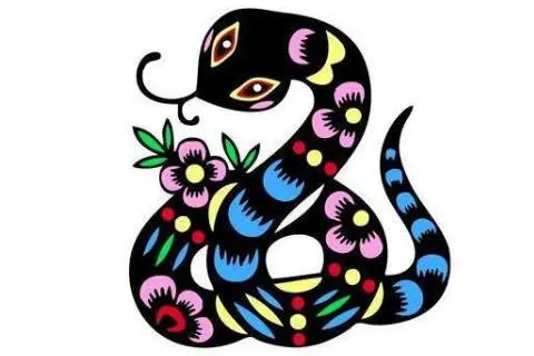 生肖属蛇的人2022年运势 犯太岁影响是非多