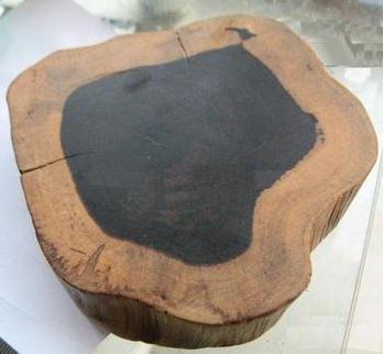 乌木的作用是什么?