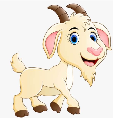 属羊女2022年高考如何提升考运？