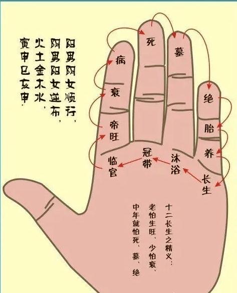  五行与十二宫运势、十二长生运程