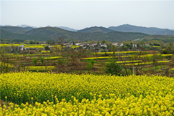 Ŷݼס̲Ÿ衷ڶʮ˼ɸ񡱺͡ɸɸ