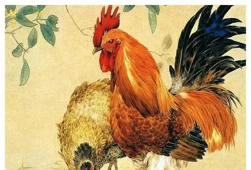 2022生肖鸡全年运势大全 贵人扶持财运增加