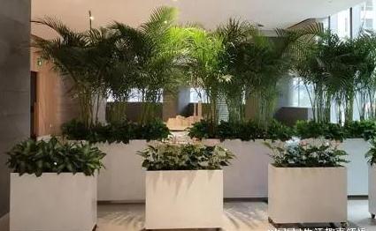 公司风水下滑了该怎么办？怎样打造一个适宜的风水格局？